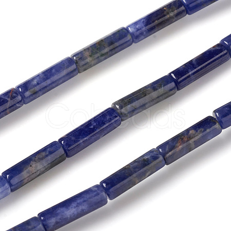 Natural Sodalite Beads Strands G-F247-30-1