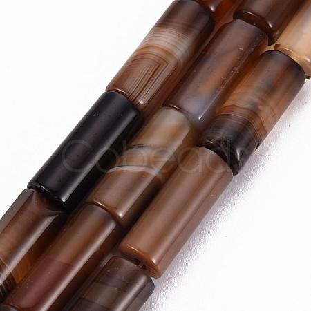 Natural Madagascar Agate Beads Strands G-Q463-02-1