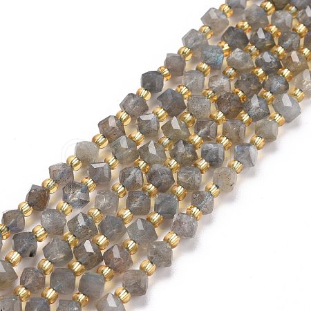 Natural Labradorite Beads Strands G-P463-35-1