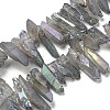 Electroplated Natural Quartz Crystal Beads Strands G-A142-03L-1