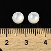 Natural White Shell Cabochons SSHEL-M022-01A-3