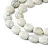 Natural Howlite Beads Strands G-K365-B14-02-4