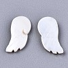 Natural Freshwater Shell Cabochons SHEL-R113-13-2