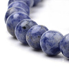 Natural Brazil Blue Spot Jasper Beads Strands G-S259-36-6mm-3