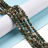 Natural Fuchsite Beads Strands G-C009-A02-2