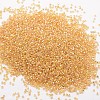 6/0 Round Glass Seed Beads SEED-J017-F6-662B-2