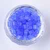 6/0 Transparent Glass Seed Beads SEED-S027-04B-06-2