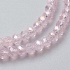 Electroplate Glass Beads Strands EGLA-F124-FR-B05-3