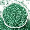 Transparent Inside Colours Glass Seed Beads SEED-A032-04G-2