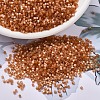 MIYUKI Delica Beads X-SEED-J020-DB1804-1