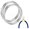 DIY Wire Wrapped Jewelry Kits DIY-BC0011-81D-02-1