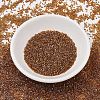 MIYUKI Delica Beads SEED-X0054-DB1735-2