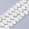 Natural White Shell Beads X-SSHEL-Q298-07-1