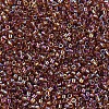 MIYUKI Delica Beads Small X-SEED-J020-DBS0170-3