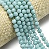 Natural Malaysia Jade Beads Strands G-L645-A01-6mm-25-3