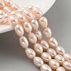 Natural Cultured Freshwater Pearl Beads Strands PEAR-P062-10G-1