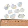 Opalite Beads G-S218-25-2