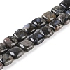 Natural Glaucophane Beads Strands G-C141-F01-01-1