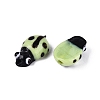 Handmade Lampwork Beads LAMP-R004-04-06-2