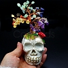 Natural Mixed Gemstone Chips Tree Display Decorations PW-WG53352-02-1