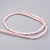 Natural Shell Bead Strands BSHE-P016-02-2