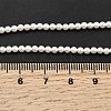 Electroplated Shell Pearl Beads Strands BSHE-K017-2.5mm-4