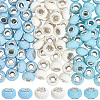 100cs Large Hole Resin European Beads RESI-PA0001-22A-7