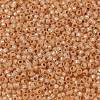 MIYUKI Round Rocailles Beads SEED-X0055-RR0580-3