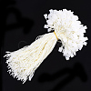 Polyester Cord with Seal Tag CDIS-T001-09J-1