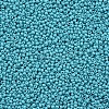 12/0 FGB Grade A Round Glass Seed Beads SEED-N001-A-1016-2