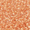 Transparent Glass Round Seed Beads SEED-B001-05A-31-3