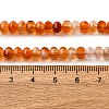 Natural Carnelian Beads Strands G-P587-D06-01-5