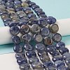 Natural Sodalite Beads Strands G-M403-C11-2