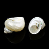 Natural Spiral Shell Beads X-SSHEL-N034-126-4