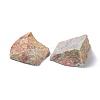Rough Raw Natural Unakite Beads G-C231-09-2
