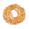 Electroplate Transparent Glass Beads Strands GLAA-N021-4mm-24-3