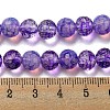 Baking Paint Glass Bead Strands GLAA-G116-02B-4