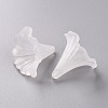 Transparent Acrylic Beads BSF796-3