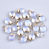 Electroplate Opalite Charms X-G-S344-09G-1