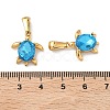 304 Stainless Steel & Glass Pendants X-STAS-L309-20B-G-3