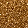 MIYUKI Round Rocailles Beads SEED-JP0008-RR0004-3