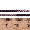 Transparent Glass Beads Strands GLAA-N074-01A-21-5