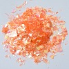 Plastic Candy Sequins/Paillette Chip DIY-I019-01F-2