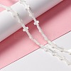 Natural Trochid Shell/Trochus Shell Beads SSHEL-O0001-22A-5