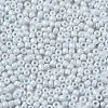 8/0 Glass Seed Beads SEED-S061-A-979-3
