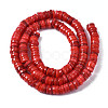 Natural Freshwater Shell Beads Strands SHEL-S278-025G-2