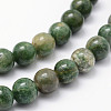Natural African Jade Beads Strands G-P326-12-6mm-3