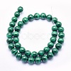 Natural Malachite Beads Strands G-O166-06-10mm-2