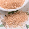 MIYUKI Delica Beads X-SEED-J020-DB0067-1