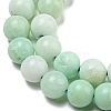 Grade A Natural Chrysoprase Beads Strands G-R494-A02-02-3
